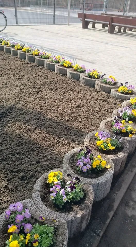 Platzsanierung – Bild 3